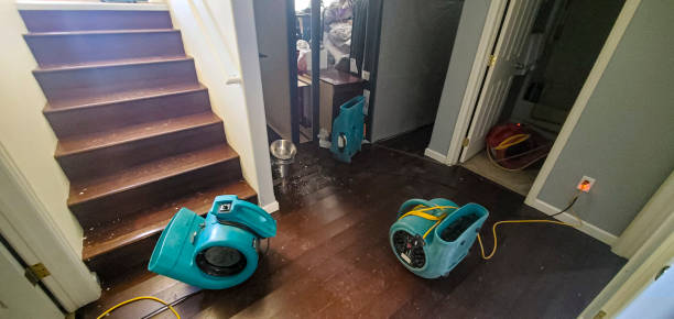 Best Water damage mitigation services  in Holiday City South, NJ