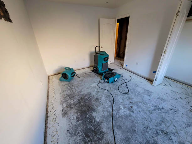Best Water damage restoration mold remediation  in Holiday City South, NJ