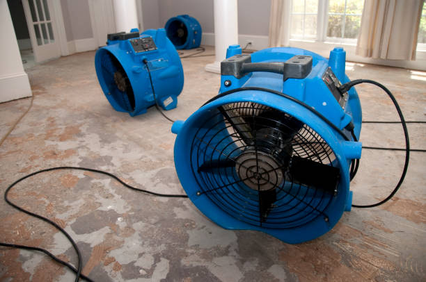 Best Residential water damage restoration  in Holiday City South, NJ