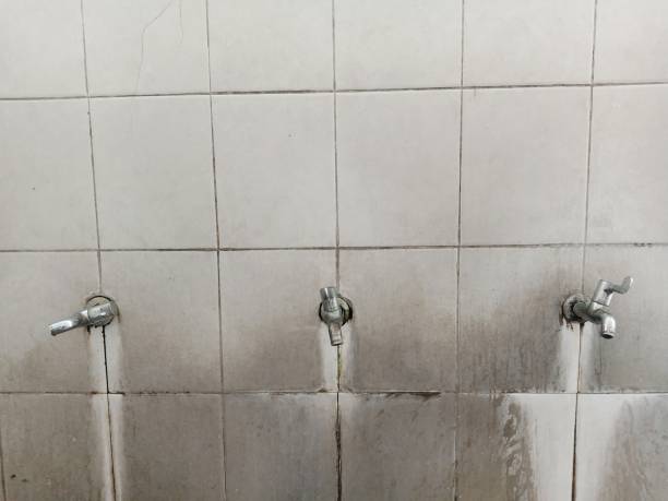 Best Mold removal after water damage  in Holiday City South, NJ