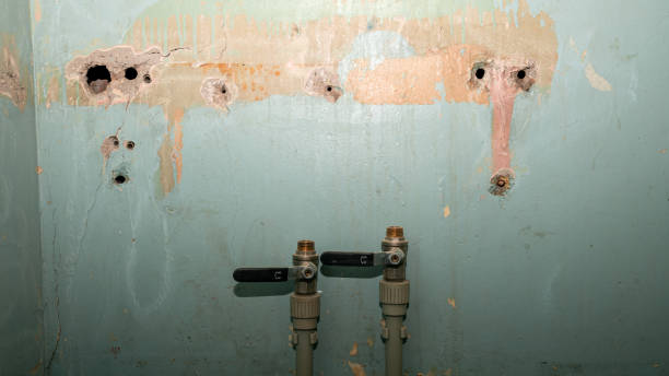 Best Emergency water extraction  in Holiday City South, NJ