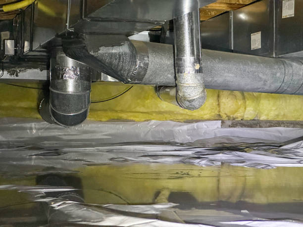 Best Sewage cleanup and water damage restoration  in Holiday City South, NJ