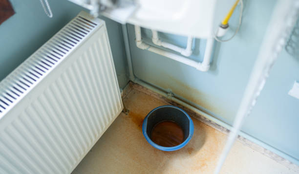 Best Water damage restoration process  in Holiday City South, NJ